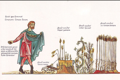 Mittelalterliche Zeichnung von einem Mann in einem roten Umhang der Getreide säht.