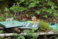 Das Bild zeigt eine Waldszene mit Ästen, Moos und Blättern. In der Mitte liegen zwei Kinderbücher zum Thema Wald und Natur. Auf den Büchern sind Tierfiguren platziert, die im heimischen Wald vorkommen, zum Beispiel Fuchs und Reh.