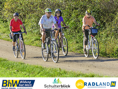 Vier ältere Personen fahren mit ihren Rädern durch grüne Landschaft.