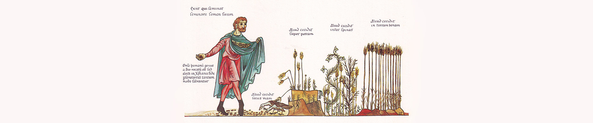 Mittelalterliche Zeichnung von einem Mann in einem roten Umhang der Getreide säht.