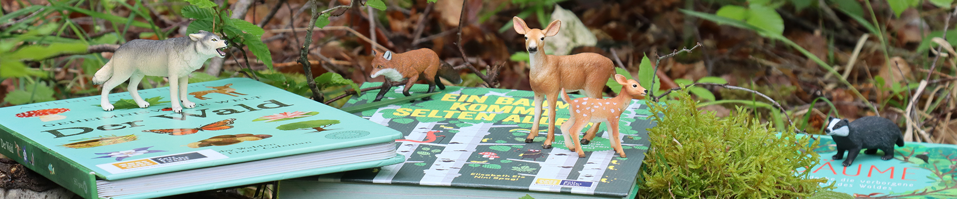 Das Bild zeigt eine Waldszene mit Ästen, Moos und Blättern. In der Mitte liegen zwei Kinderbücher zum Thema Wald und Natur. Auf den Büchern sind Tierfiguren platziert, die im heimischen Wald vorkommen, zum Beispiel Fuchs und Reh.